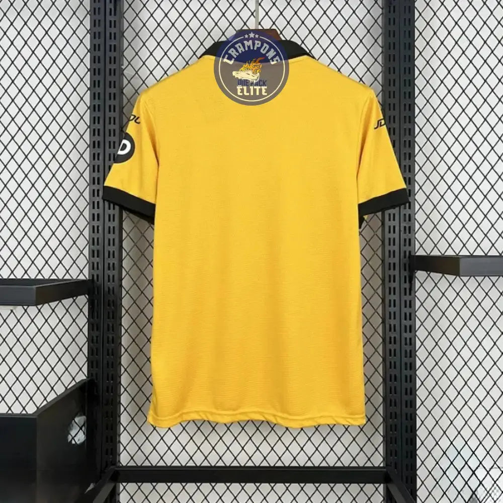 Wolverhampton 2025/26 Domicile